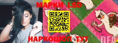 шишки Аргун