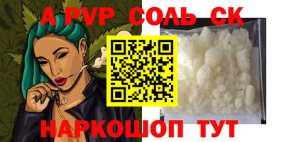 шишки Аргун