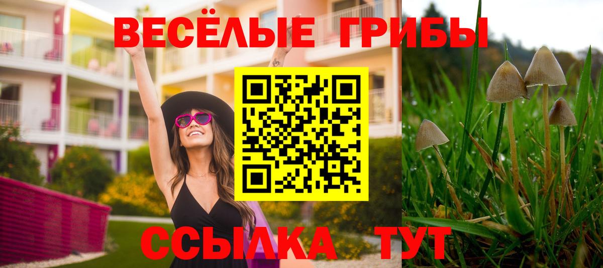 Бугульма  цена наркотик  Вход с VPN  Галлюциногенные грибы ЛСД  Галлюциногенные грибы GOLDEN TEACHER 