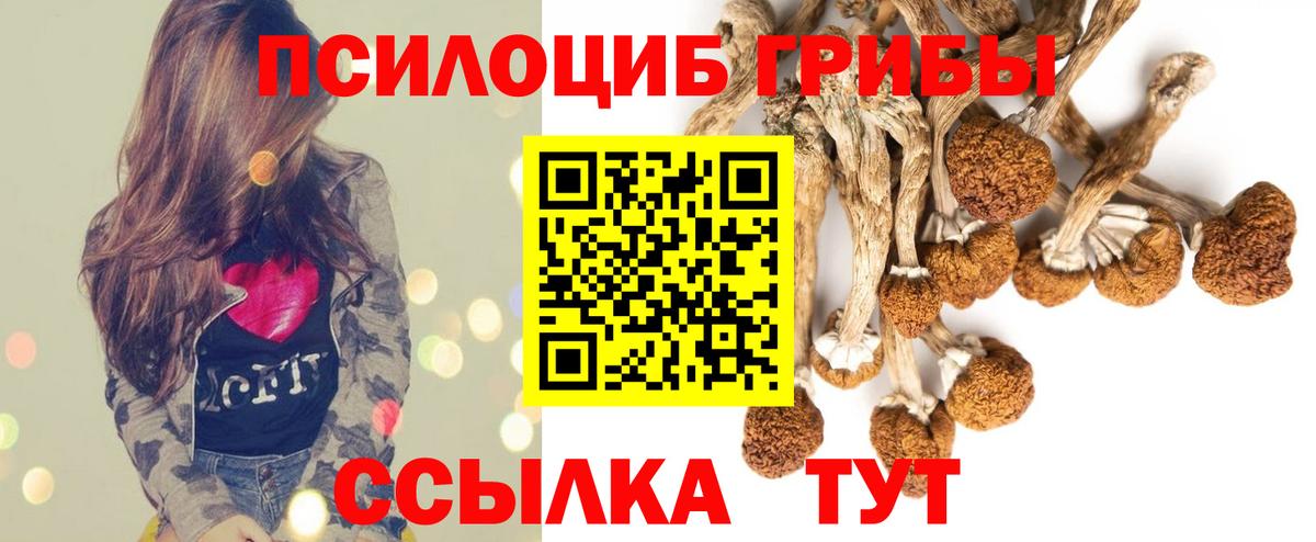 Псилоцибиновые грибы мицелий Бугульма
